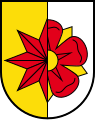 SVG Barntrup