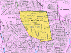 U.S. Census Map