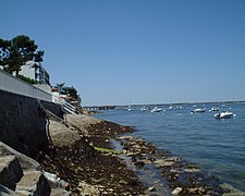 Østsiden av Arcachon-bassenget.