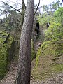 Einstieg zur Höhle "das verfluchte Jungfernloch" am Osthang der Eisenacher Burg