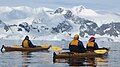 Kajakkere i Wilhelmina Bay