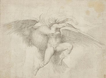 Ganimedes de Michelangelo. Copiat d'un original perdut a llapis (1532). Royal Collection, castell de Windsor