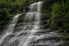 Cascada La Paila en el Parque nacional El Guácharo.