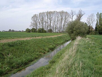 La rivière des Layes séparant le Nord et le Pas-de-Calais à Aubers.