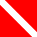 Diver-down flag