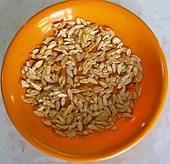 Muskmelon seeds