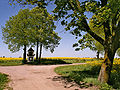 Countryside, Toruń