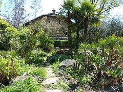 Le jardin méditerranéen.