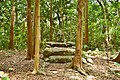 壱岐島 総社神社