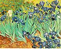 Iris de Van Gogh (1889)