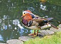 Dessau-Wörlitzer Gartenreich in Sachsen-Anhalt: Wörlitzer Park