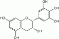エピガロカテキン