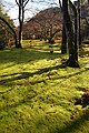 Hōgon-in, Kyoto