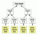 A binary hash tree