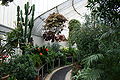 Inside the Botanic Gardens Palm House.