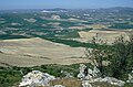 Ronda la Vieja