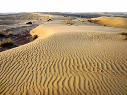 Sand dunes in the Karakum Desert of Turkmenistan