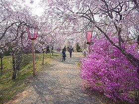 たけべの森公園