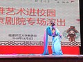 受版权保护的现场表演的特写，不能重现该表演的图片