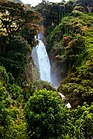 Chutes de Malamba sur le Mont Rungwe (Tanzanie)