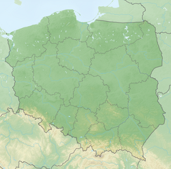 Schlacht bei Rakowitz (Polen)