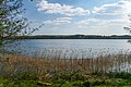 Wolletzseeufer am Radfernweg