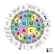 DNA decryption