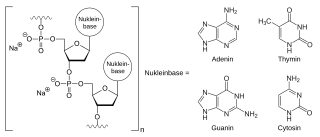 Defibrotid-Natriumsalz, schematisch