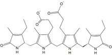 Structure of urobilinogen.png