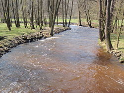 Meandr řeky na středním toku nad bio-farmou Kozodoj