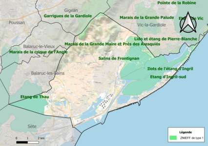 Carte des ZNIEFF de type 1 sur la commune.