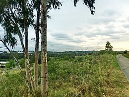 A walking and cycling track in Marrong Reserve South, which meanders around the southern summit (2018)