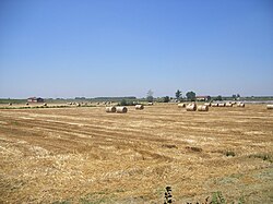 Zemědělská krajina mezi Brescellem a Sorbolem