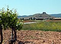 Consuegra