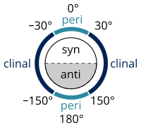 syn/anti peri/clinal