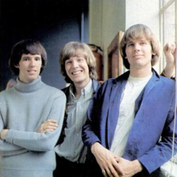 The Walker Brothers in 1965 (L-R: Gary Leeds, Scott Engel, John Maus)