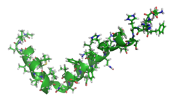 Beta-Amyloid