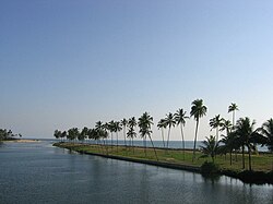 Kappil beach and backwaters in Edava