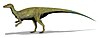 Thescelosaurus neglectus drawing.