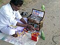 Parrot going through the cards