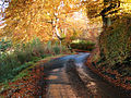 The Brisbane Glen road in autumn.