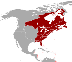 Brittiska besittningar i Nordamerika som tillhörde Brittiska Amerika (röd) och andra områden under brittiskt styre (rosa).