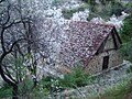 Church in spring