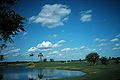 Cumulus humilis radiatus