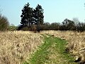 image=https://commons.wikimedia.org/wiki/File:HausKuhlmannBardowiek.JPG