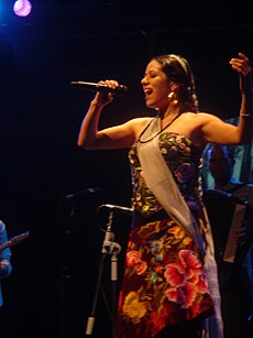 Lila Downs mientres un concierto en Mexico.