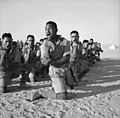 Thumbnail for File:E 003261 E Maoris in North Africa July 1941.jpg