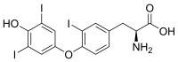 3,3',5'-triiodothyronine (rT3, ou T3 inverse).