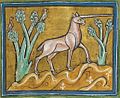 Rochester Bestiary (Royal MS 12 F. xiii), folio 21 recto: Monoceros, about 1230, England, miniature, 29.8 × 21.4 cm, British Library, London.