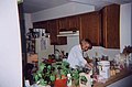 A woman in a typical modern kitchen